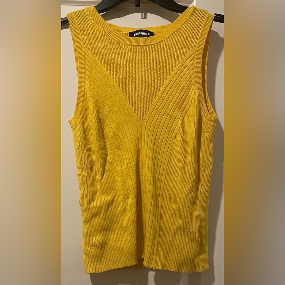 Express Women’s Sweater Tank